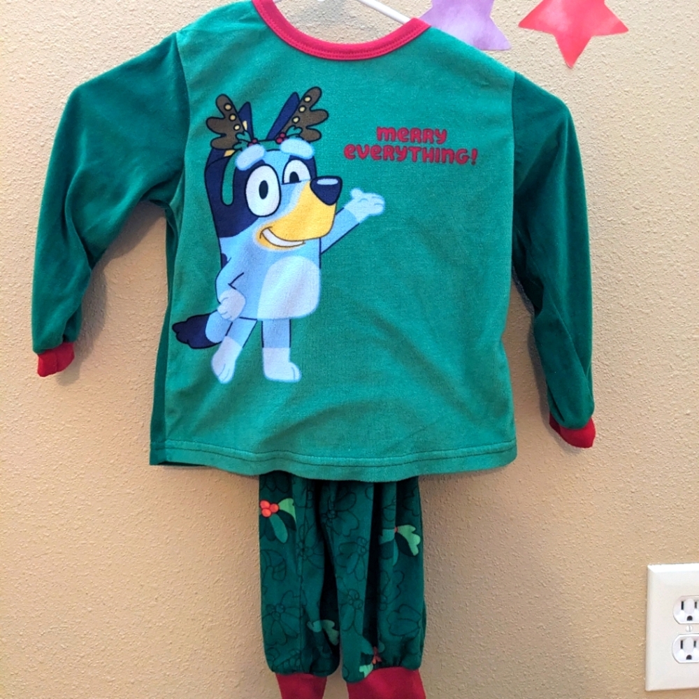 Bluey 4T Kids Green Pajamas